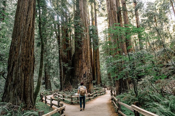 Alcatraz Tour Plus Muir Woods and Sausalito Day Trip - Exploring Muir Woods Towering Redwoods