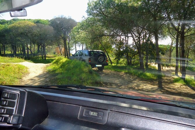 Algarve Private Tour With Typical Lunch - Cancellation Information