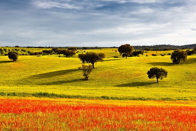 Algarve to Lisbon With Stop at Évora, Bones Chapel and Cork Factory - Discovering the City of Évora