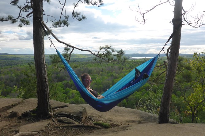 Algonquin Provincial Park Day Tour From Toronto - Itinerary of Activities