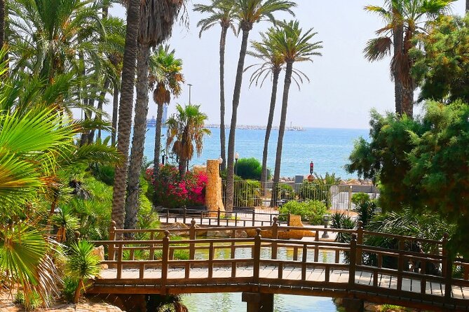 Alicante: Calas & Beaches Snorkeling With E - Bikes - Suitability and Safety Considerations