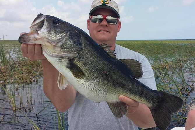 All Day Lake Trafford Fishing Trip Near Naples - Wildlife Observation