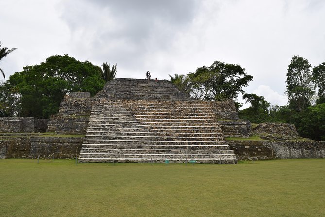 Altun Ha & Rainforest - Guided Tour Experience