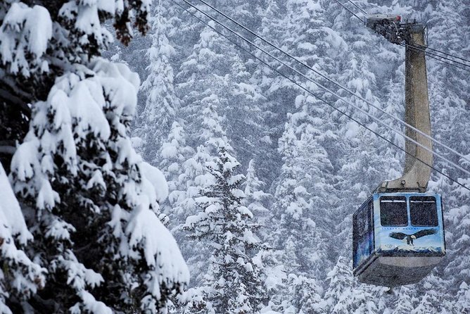 Alyeska Tram - A Self-Guided Tour - Accessibility and Requirements