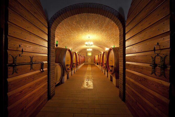 Amarone Wine Tasting in Valpolicella | 4 Wines + Snacks - Ripasso Classico Superiore DOC