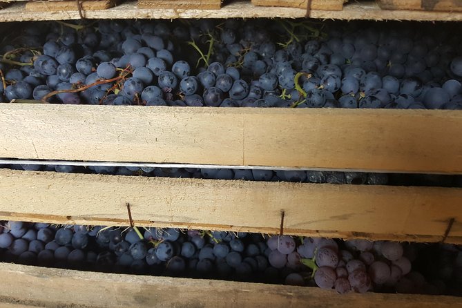 Amarone Wine Tour (All-Inclusive Full Day With Lunch and Expert Wine Guide) - Meeting and Pickup Information