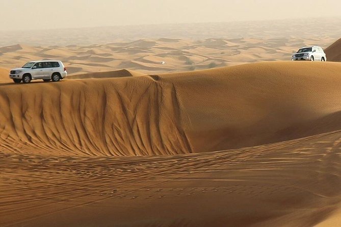 Amazing Abu Dhabi Evening Safari - Dune Bashing Adventure