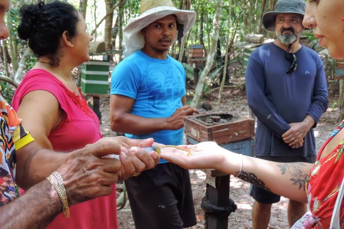 Amazon Arapiuns River Aruã Waterfall Tour - Camping Under the Stars