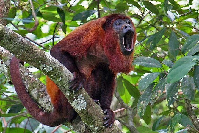 Amazon Expedition 3 Days - Inclusions