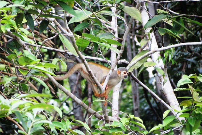 Amazon Survival Tour 6D/5N - Pickup and Arrival