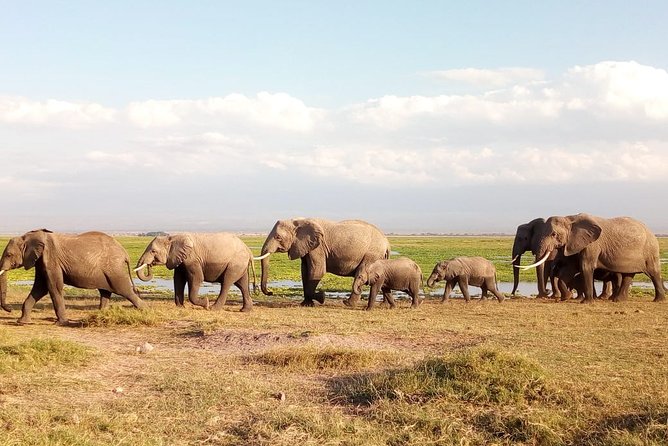 Amboseli National Park Day Trip:Mt Kilimanjaro Views - Itinerary and Inclusions