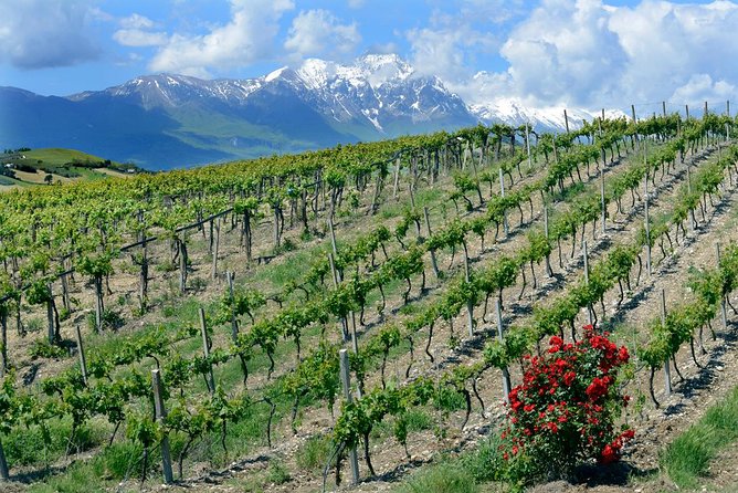 Among Ancient Sunny Vineyards, Visit and Taste the Wines From the San Lorenzo Cellar - Location and How to Get There