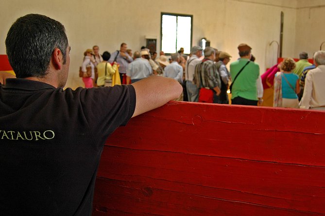 Andalucia Bull and Horse Farm and Ronda Private Tour From Malaga - Discovering Historical Ronda