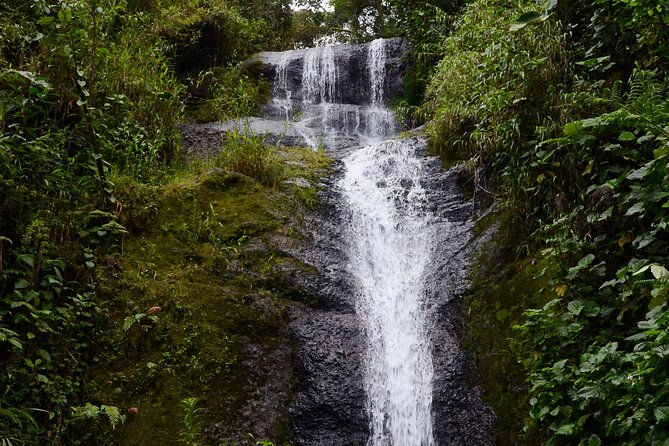 Angel Falls and Guacharos Cave - 7 Waterfalls - Hiking the 7 Waterfalls