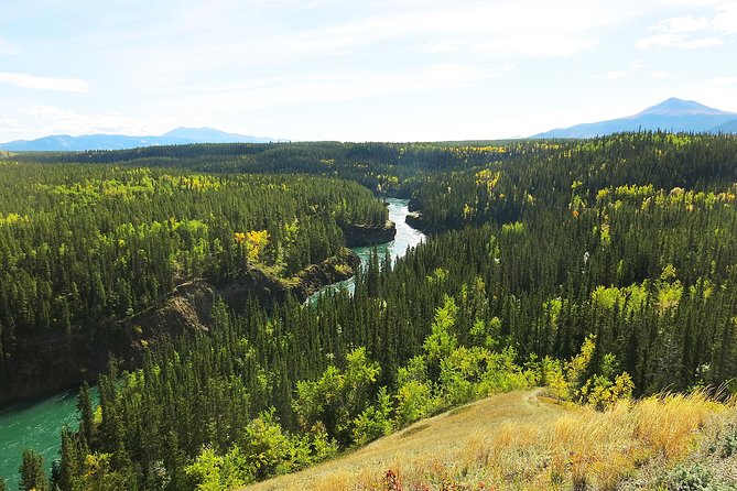 Arctic Day: Hiking Tour | Half Day - Inclusions