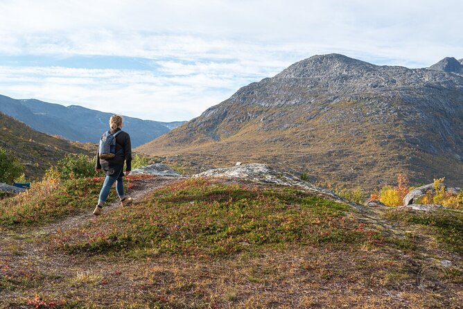 Arctic Roadtrip: Fjords With Scenic Picnic | Small Group 4x4 Van - Inclusions