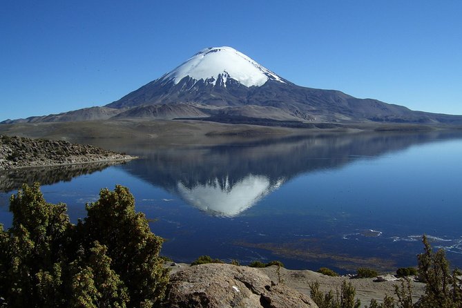 Arica: Full Day to Lauca National Park and Chungara Lake, Meals Included - Inclusions