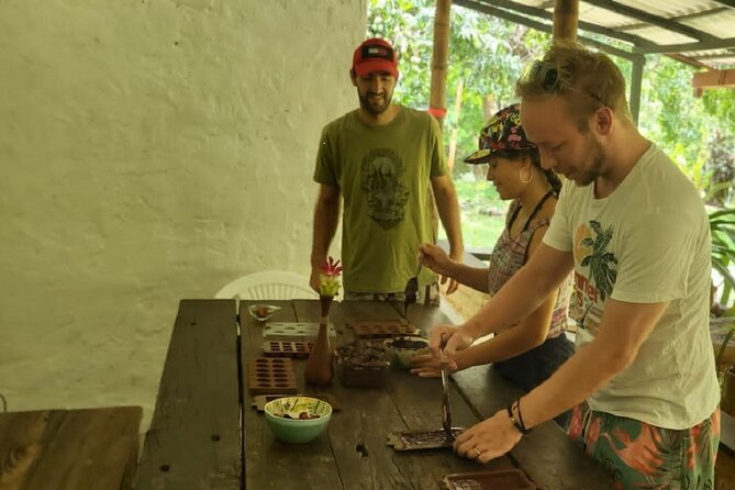 Artisanal Chocolate: From the Garden to the Table - Discovering the Cacao Forest