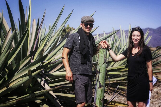 Artisanal Mezcal Distillery in an Authentic Zapotec Village - Accessibility and Health Considerations