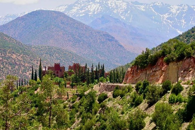 Atlas Mountains and 4 Valleys, Lunch With Local Berbers - Inclusions and Amenities
