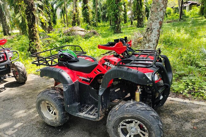 ATV Jungle Adventure in Krabi With Roundtrip Transfer - Customer Reviews and Feedback