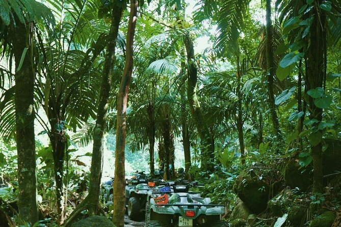 ATV Tour Experience in Arenal Volcano National Park - Navigating the Scenic Trails