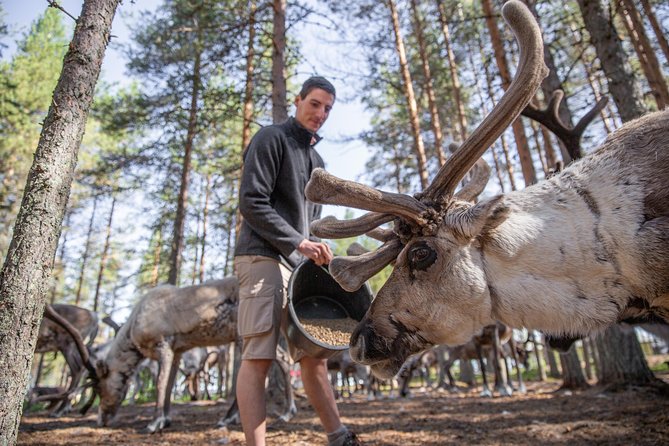 Authentic Reindeer Farm and Canoe Experience From Rovaniemi. - Included Amenities