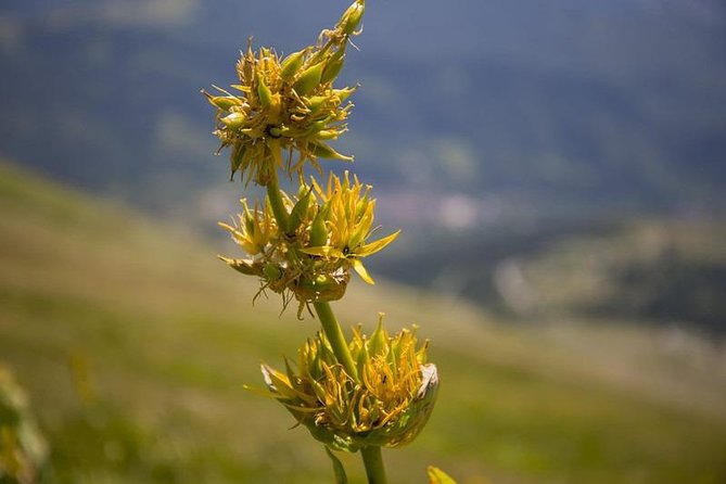 Author Trekking: the Glacial Valley of Lake Pilato - Private Tour - Highlights of the Author Trekking