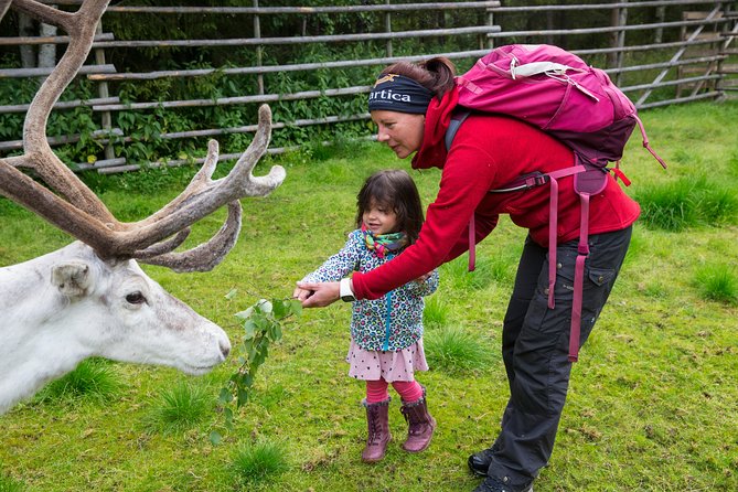 Autumn Delight - Visit to Husky, Reindeer and Santa Claus in Rovaniemi - Detailed Itinerary