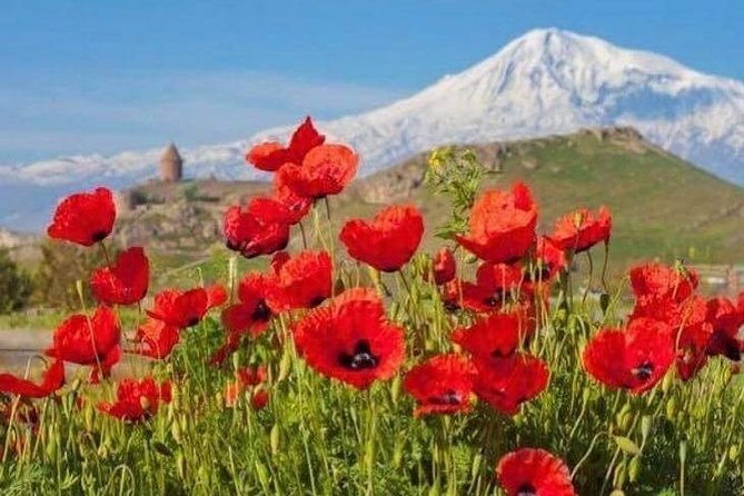 Autumn in Armenia - Harvest and Winemaking