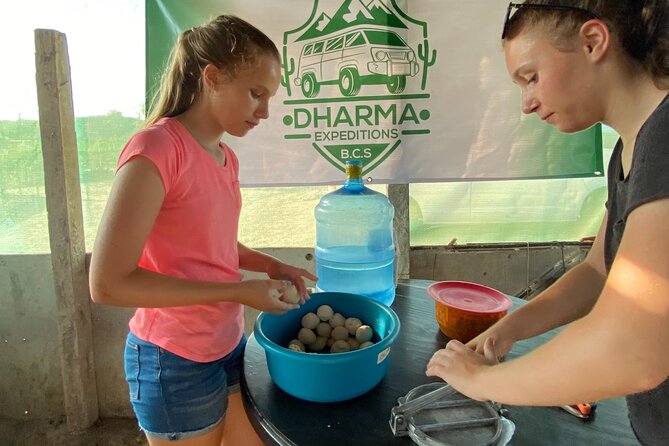 Azteca Cactus Taco - Farm to Table Cooking Class in Los Cabos - Class Details and Menu