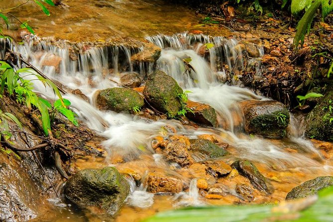 Azul Meambar National Park Day Tour From San Pedro Sula - Included Amenities