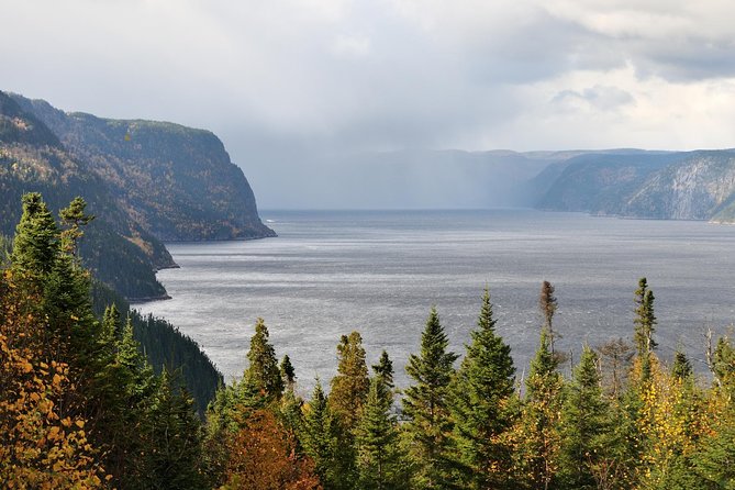 Back Country of the Fjord and the National Park - Visitor Experience and Feedback