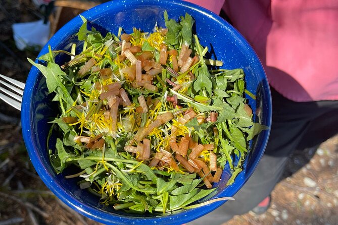 Backcountry Eats & Foraging Treats - Health and Safety Guidelines