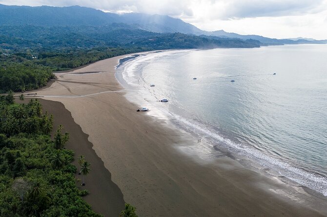 Bahia Ballena Whale and Dolphin Tour - Afternoon - Inclusions