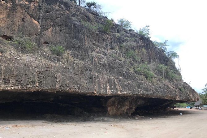 Bahía De Las Águilas Glamping Experience From Santo Domingo - Accommodation and Amenities