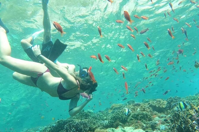 Bali Experience Blue Lagoon Snorkeling and Hidden Waterfall - Inclusions of the Tour