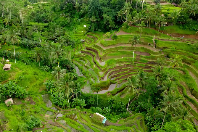 Bali Horse Riding Activity and Full-Day Trip in Ubud - Highlights of Ubud