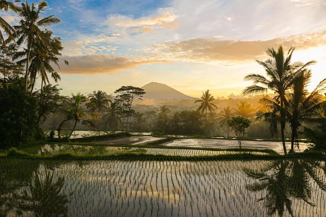 Bali Pure Trek With Spiritual Journey, Purification Ceremony, Local Priest -Ubud - Cultural Insights