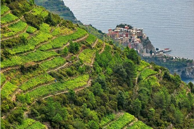 BarCa Winery Cinqueterre Trekking & Wine Tasting & Pesto Class - Pesto Making Experience