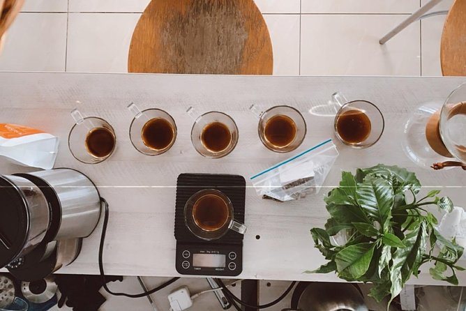 Barismo for Beginners - Accessibility Features