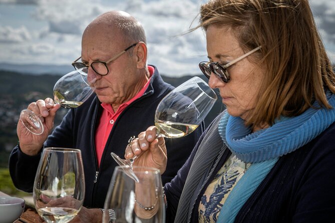 Barrel Tasting - Quinta De Santa Cristina Vinho Verde - Barrel Tasting Experience