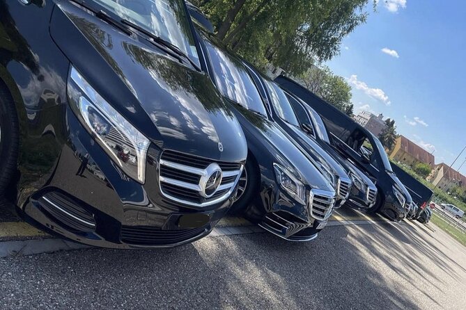 BaselAirport to Lucerne or Lucerne to BaselAirport PrivatTransfer - Inclusions and Amenities