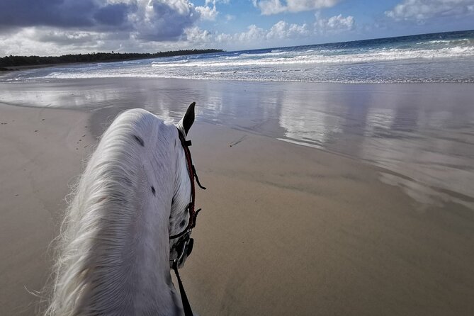 Beach and Mountain Overnight Horseback Riding Combo in El Seibo - Health and Accessibility Considerations