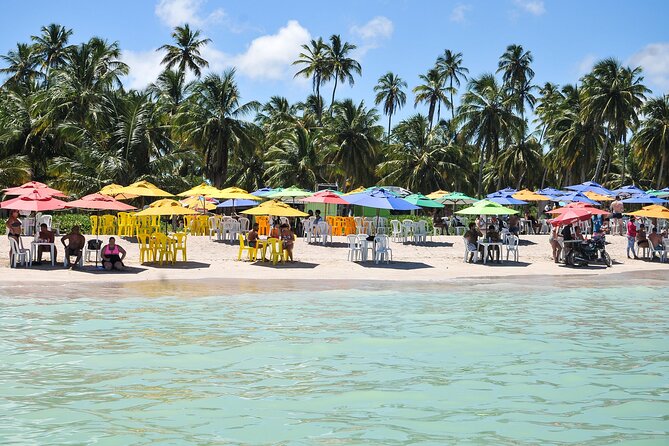 Beach Day In Maragogi With Catamaran Tour - Tour Logistics