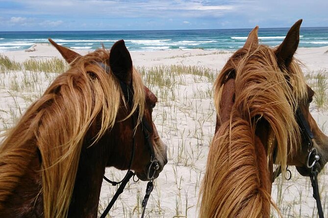 Beach Ride - Stanford - Participant Requirements