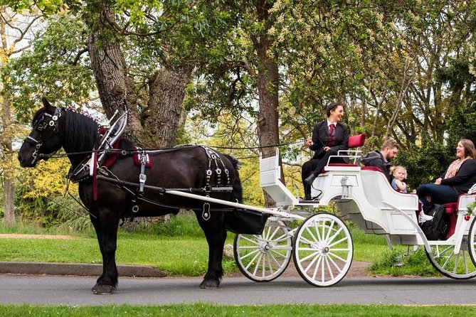 Beacon Hill Park Horse-Drawn Carriage Experience in Victoria - Meeting Location