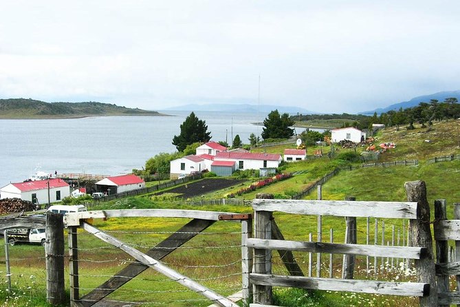 Beagle Channel Navigation Adventure: Penguin Watching Experience - Navigating the Beagle Channel