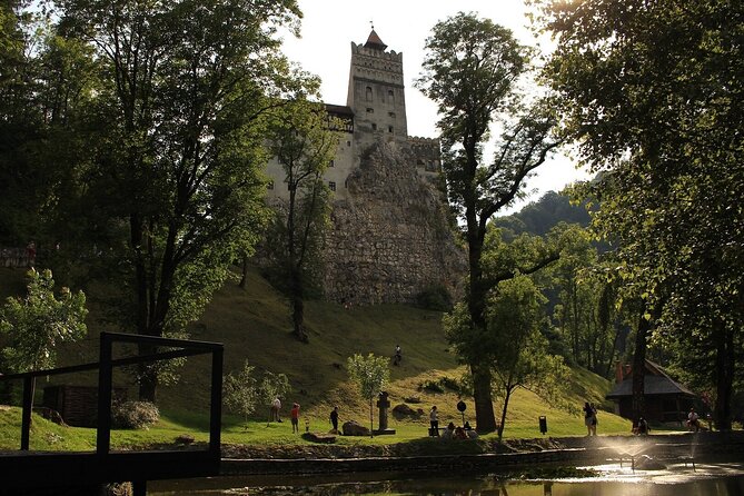 Bear Sanctuary, Bran Castle & Rasnov Fortress - Tour From Brasov - Additional Tour Details
