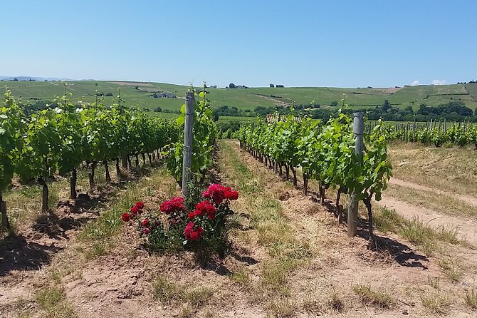 Beaujolais Region Wine Tasting Private Day Tour From Lyon - Cancellation Policy Details